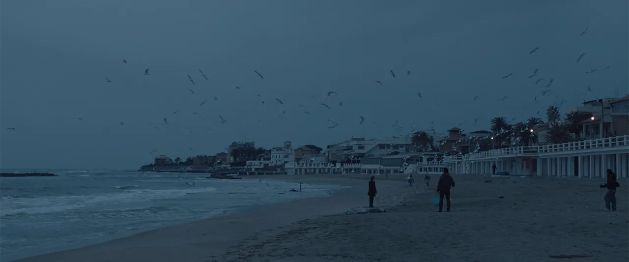 Nessuno mi pettina bene come il vento | Marcello Montarsi - Cinematographer