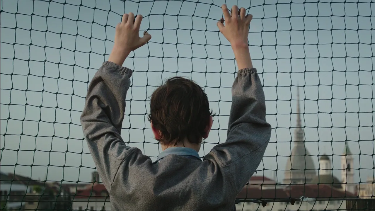 La classe degli asini | Marcello Montarsi - Cinematographer