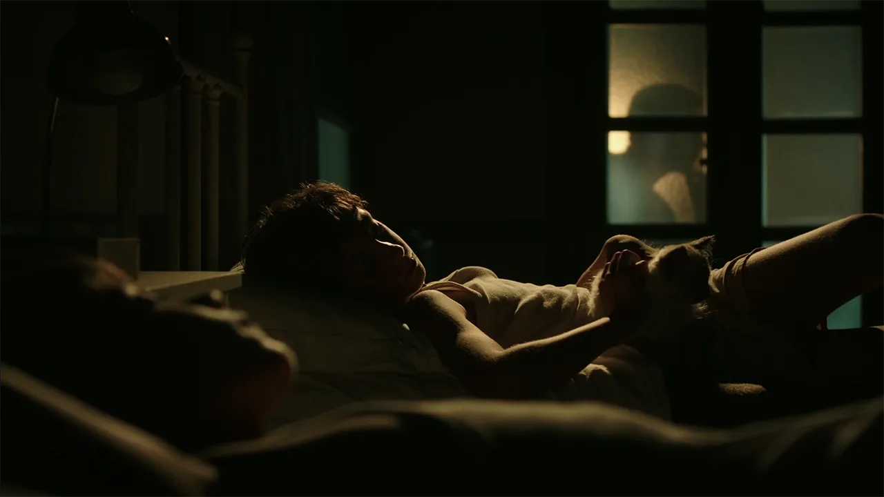 La classe degli asini | Marcello Montarsi - Cinematographer