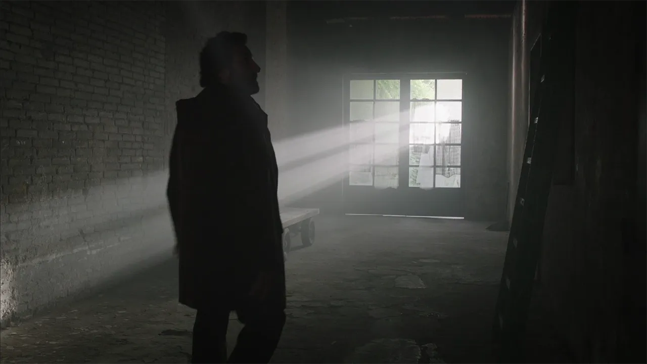 La classe degli asini | Marcello Montarsi - Cinematographer